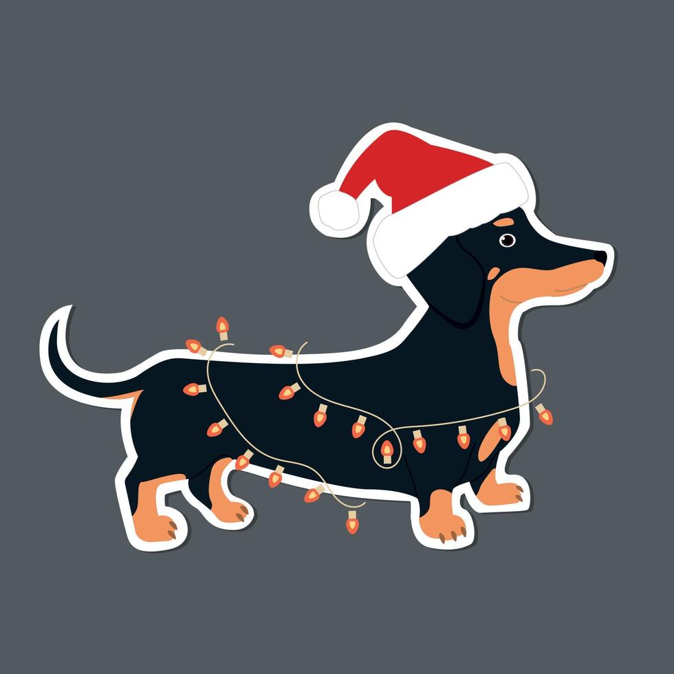 The dachshund got tangled up in a Christmas garland. Cute hand drawn sticker illustration. vector