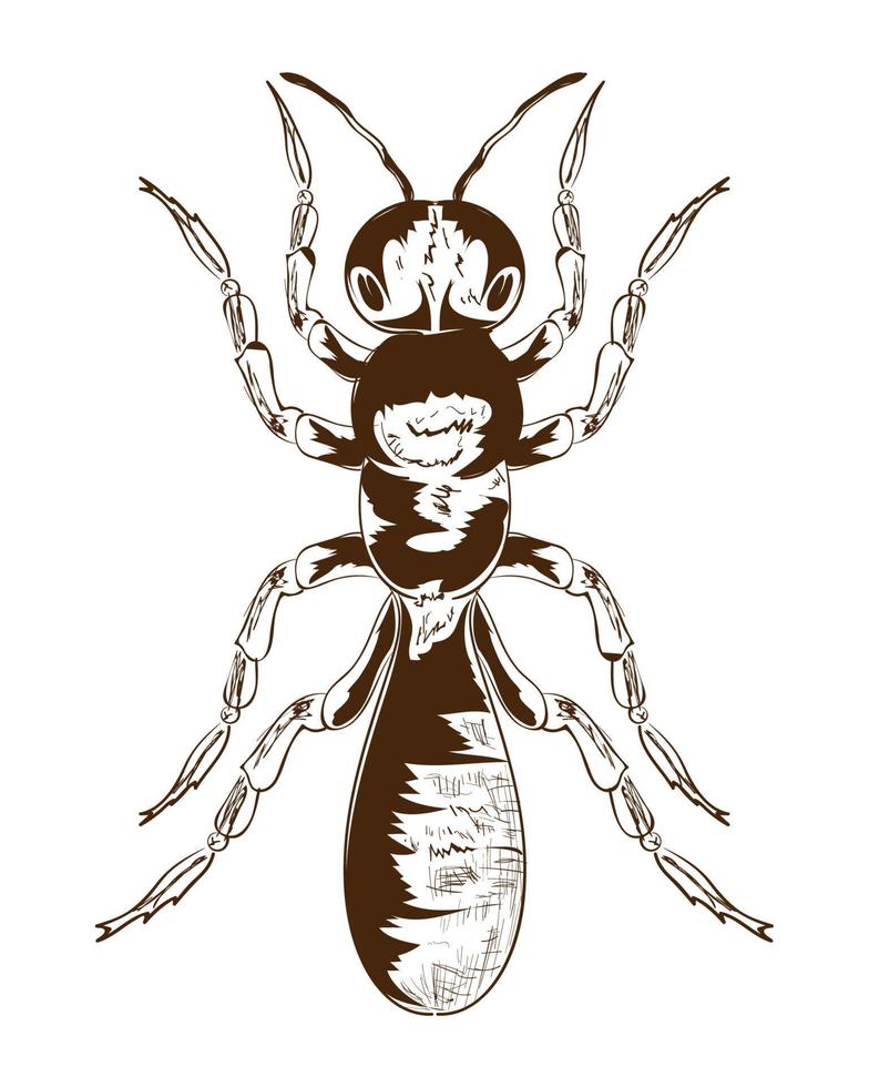 ant bug icon vector