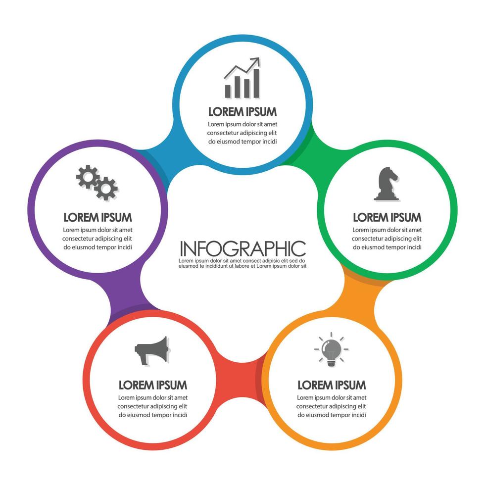 Infographic chart template vector