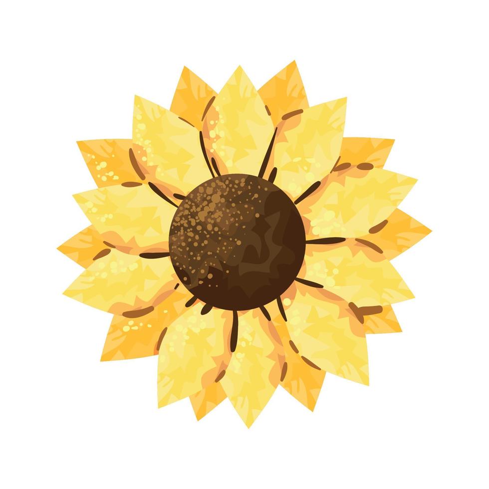 sunflower nature icon vector
