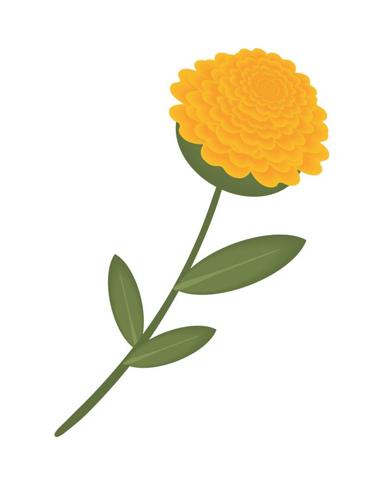 flower decoration icon vector