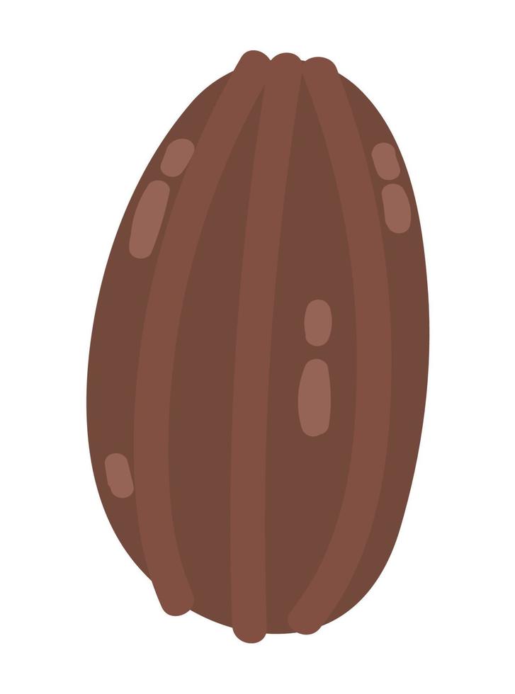cacao nut icon vector