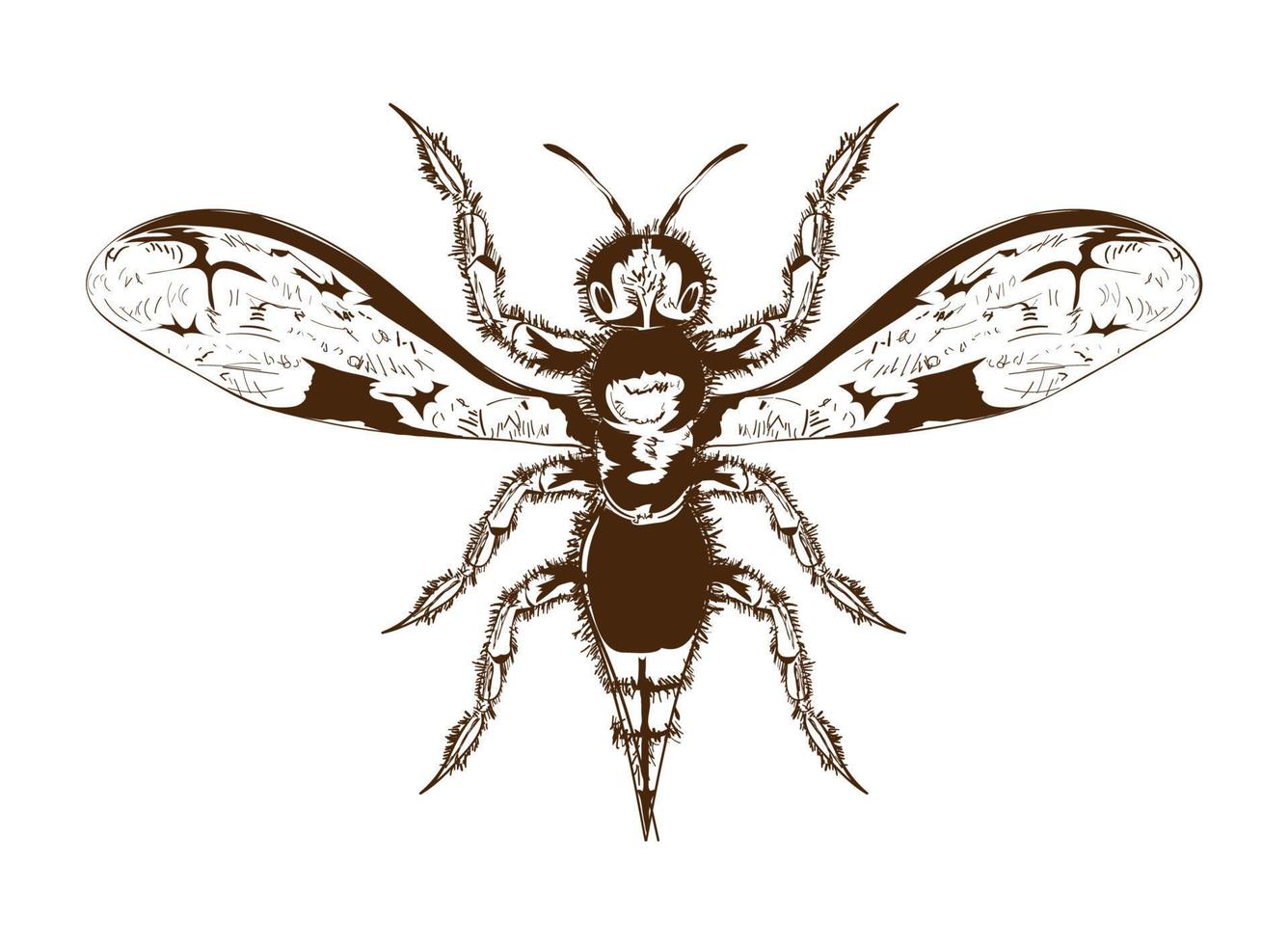 bug icon design vector