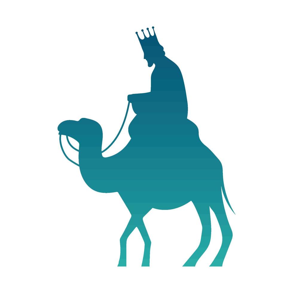 wise king on camel vector