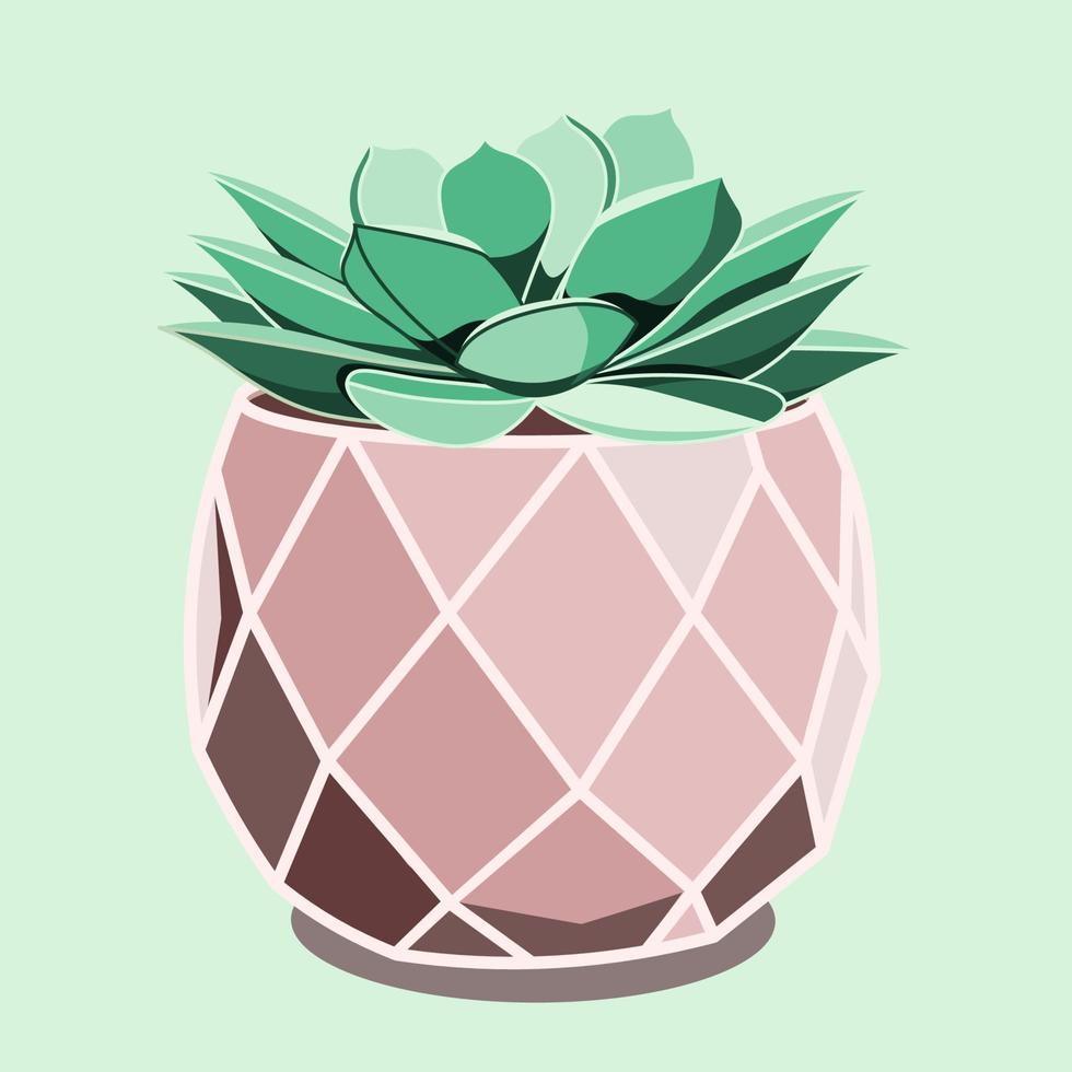 Echeveria succulent in ceramic pot in flat technique vector