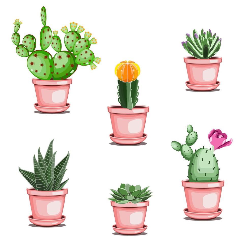 Set of cactuses and succulents in ceramic pots in flat technique vector