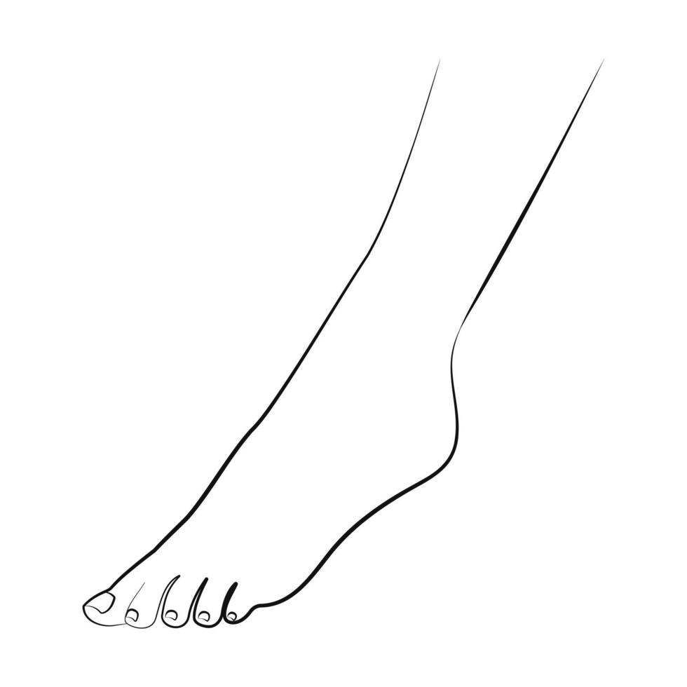 Leg, line art, one line drawing vector