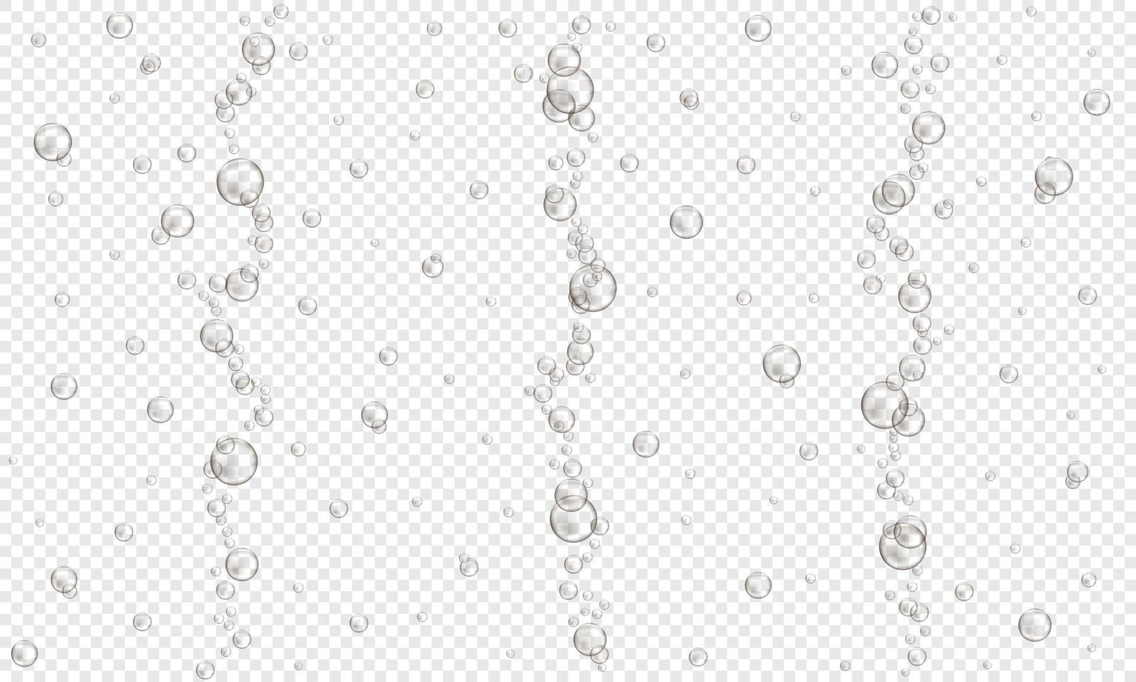 Oxygen bubbles on transparent background. Fizzy carbonated drink, seltzer, beer, soda, cola, lemonade, champagne texture. Water air stream in sea or aquarium vector