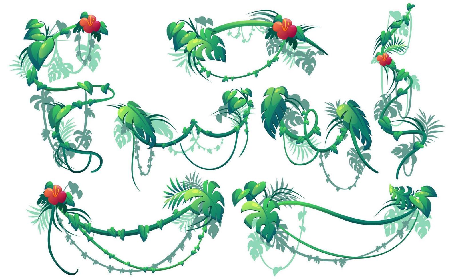 Jungle creeper plants, lianas with flowers vector