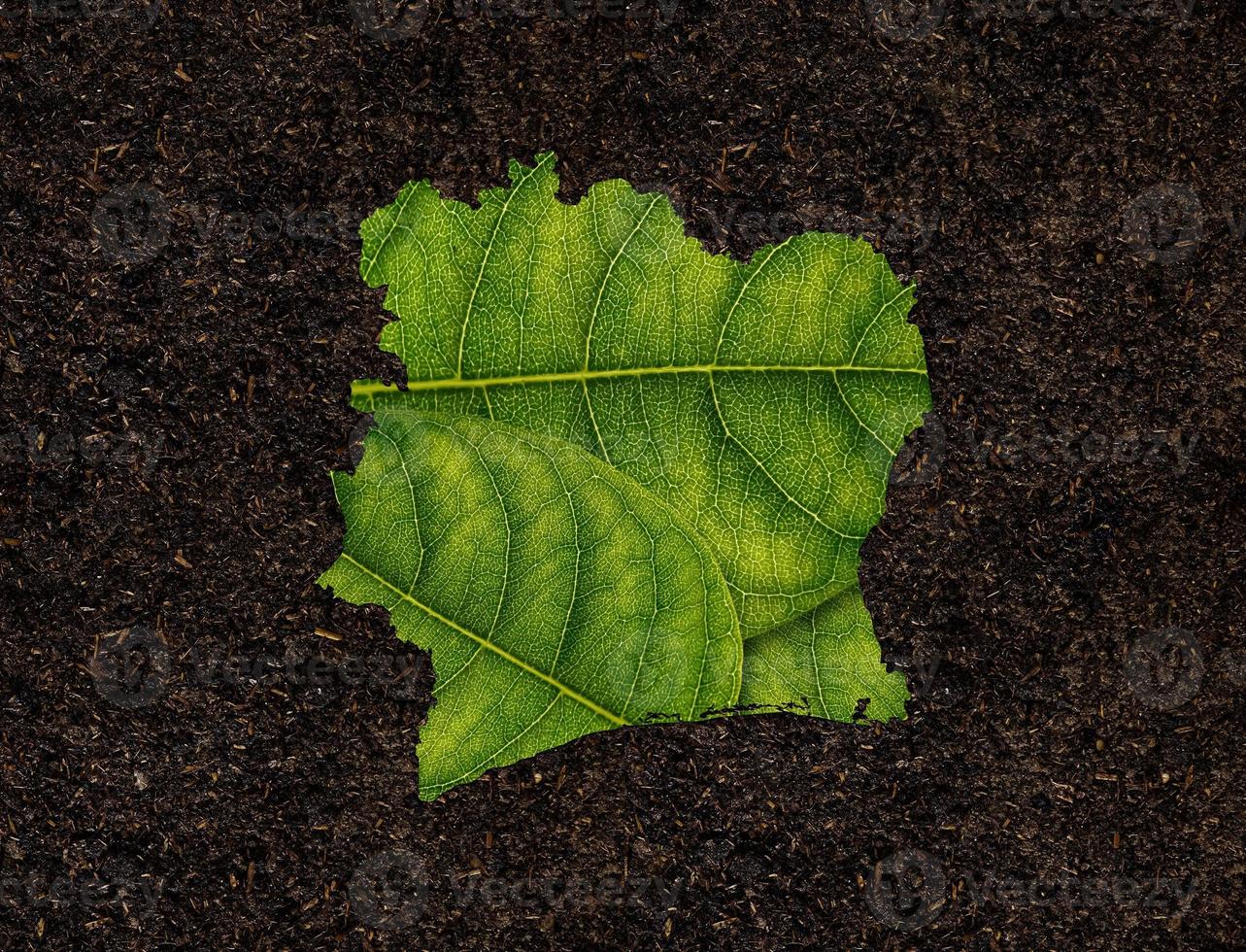 Ivory Coast map made of green leaves on soil background ecology concept photo