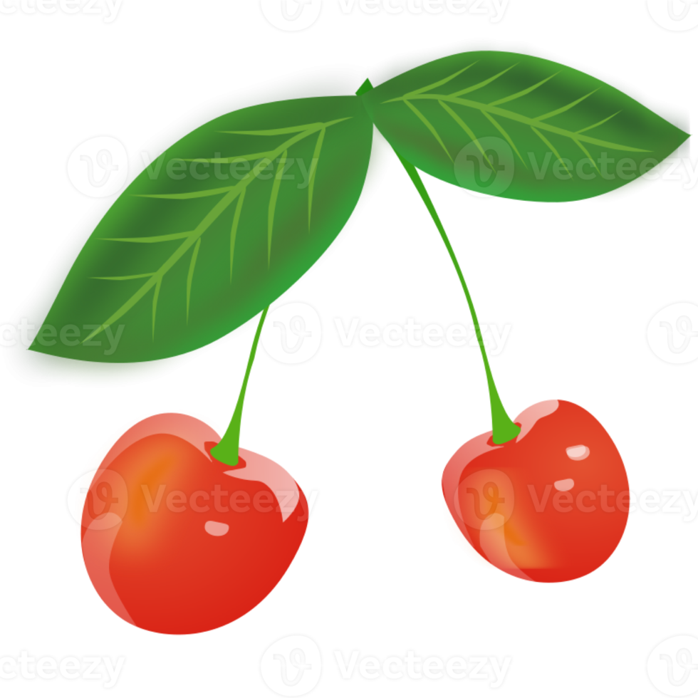 Red cherry with leaf on a transparent background png