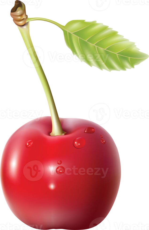 rosso ciliegia con foglia su un' trasparente sfondo png