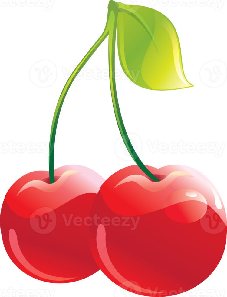 röd körsbär med blad på en transparent bakgrund png