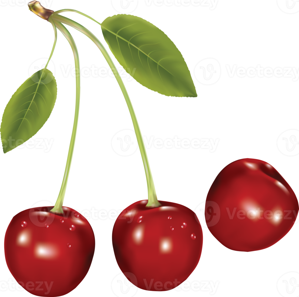 Red cherry with leaf on a transparent background png