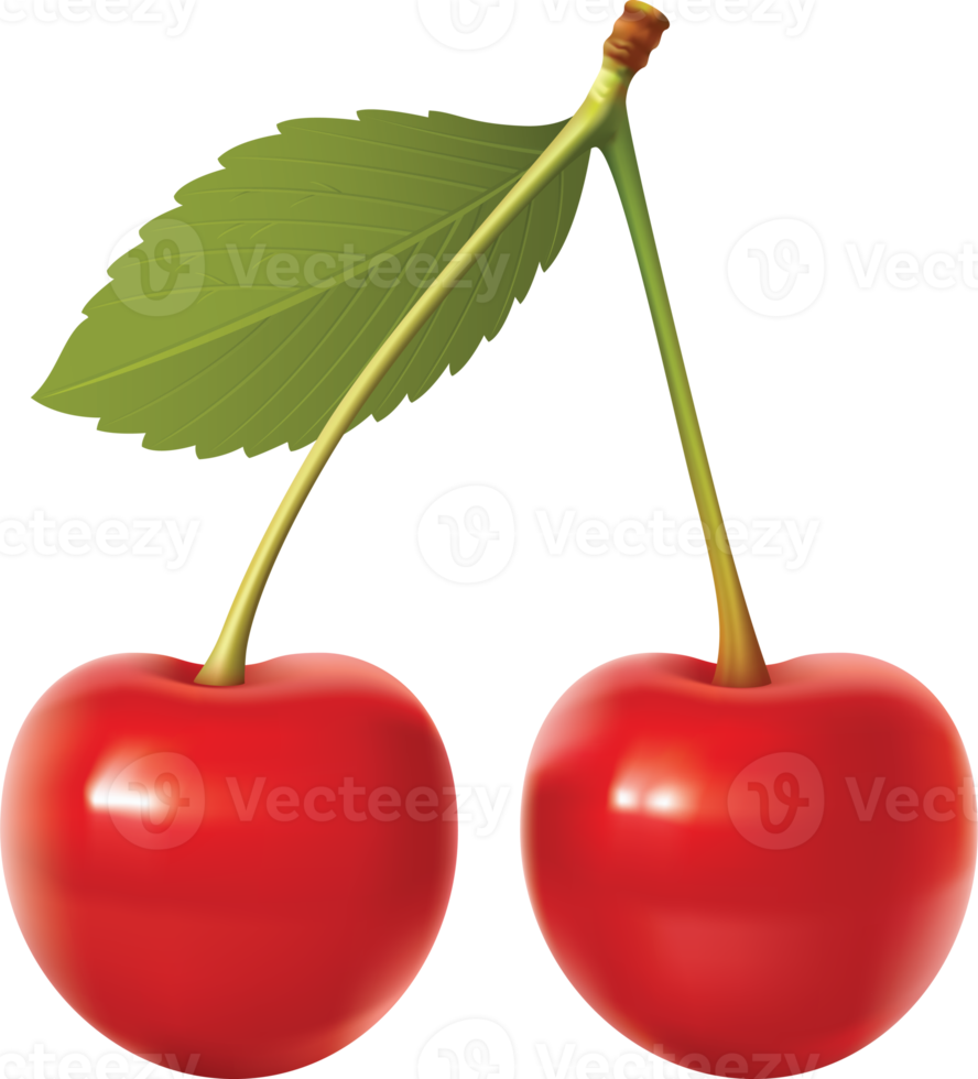 Red cherry with leaf on a transparent background png