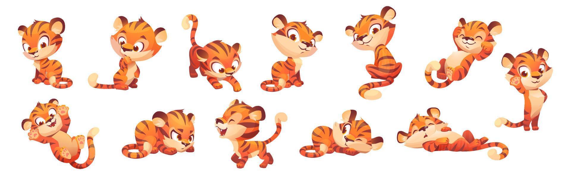 Cute tiger character, wild animal mascot vector