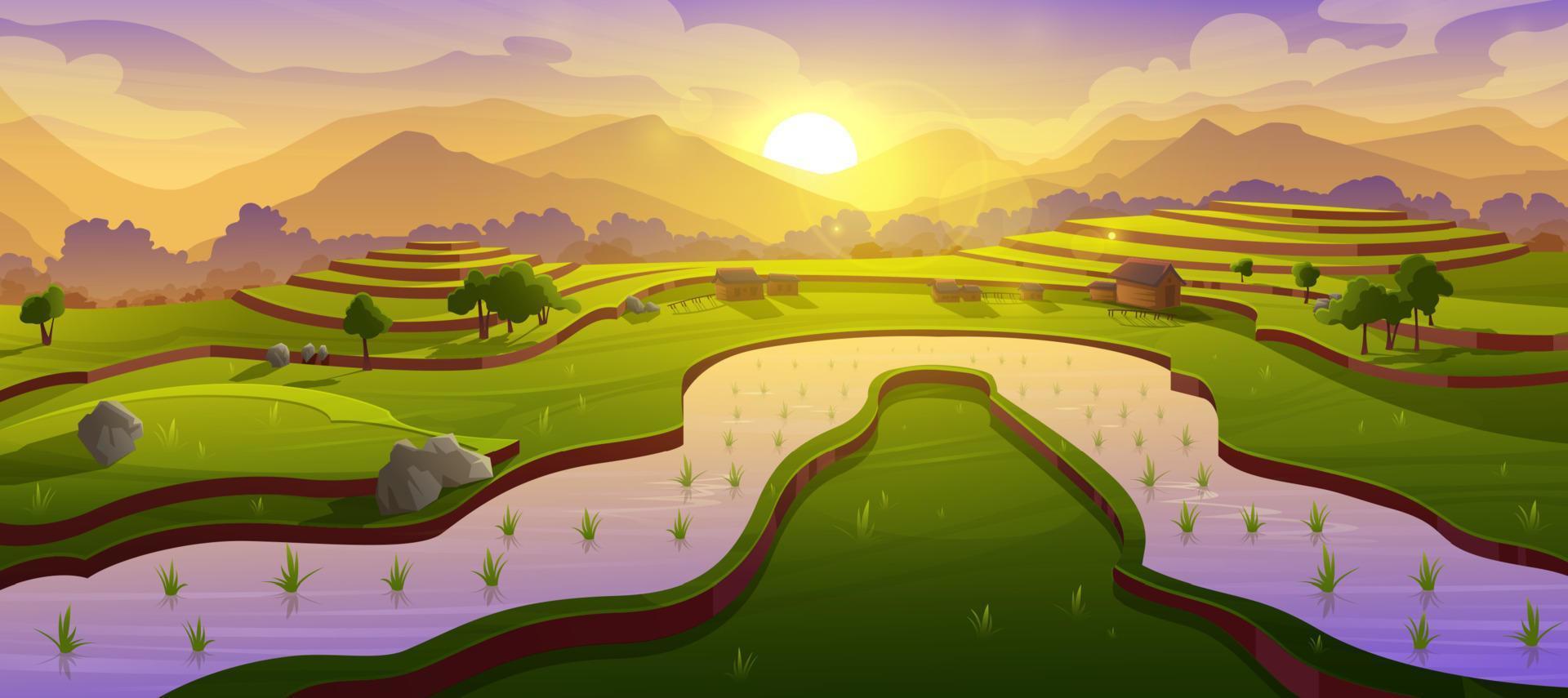 terrazas de arrozales asiáticos en el paisaje matutino vector