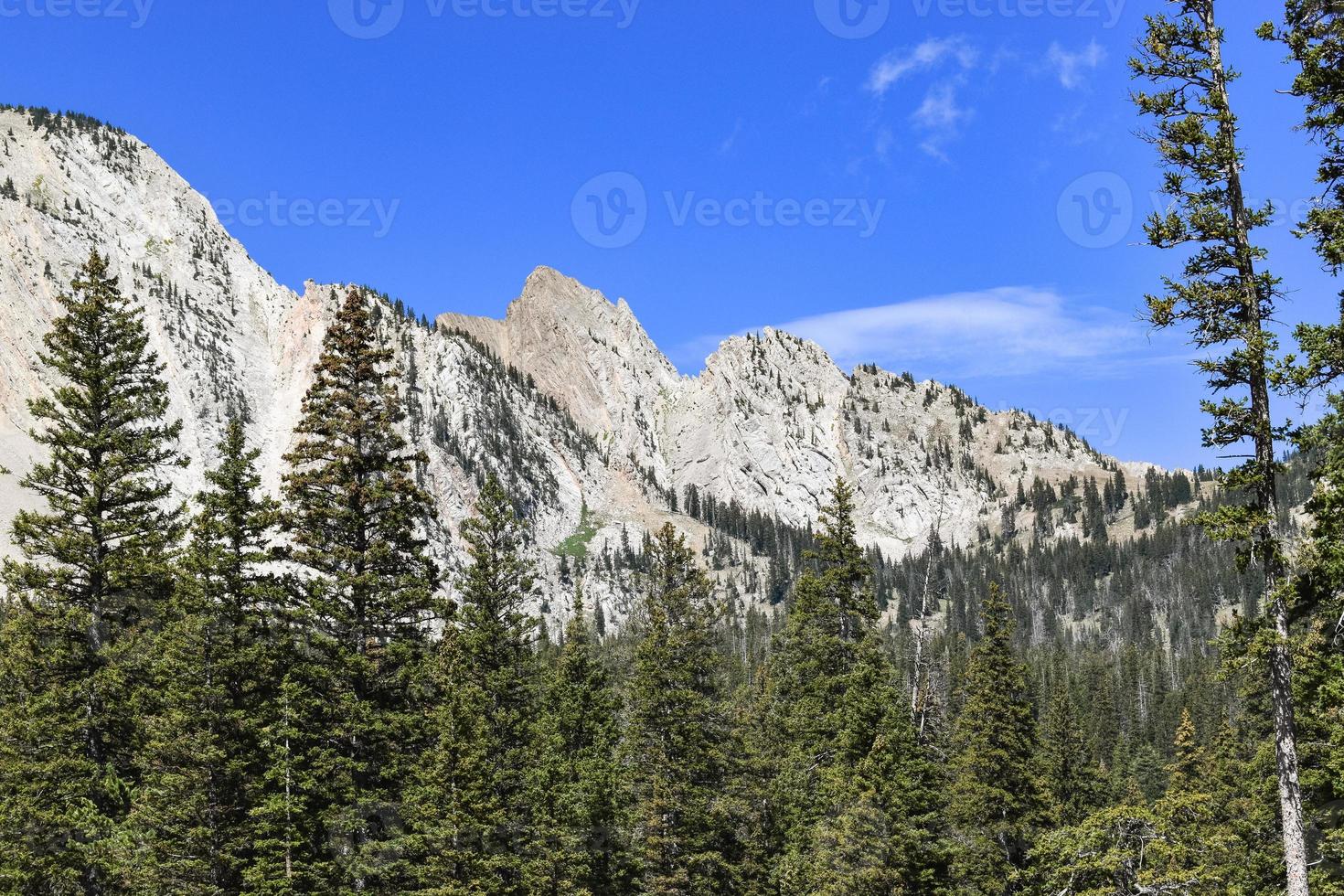 Mountain Landscape View in Montana photo