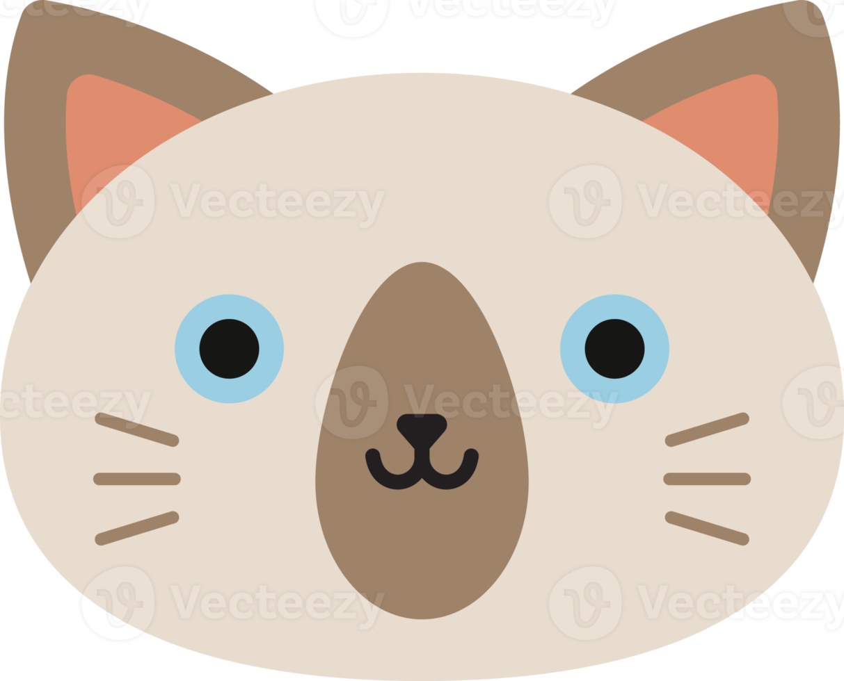 Simple Cat Expression png