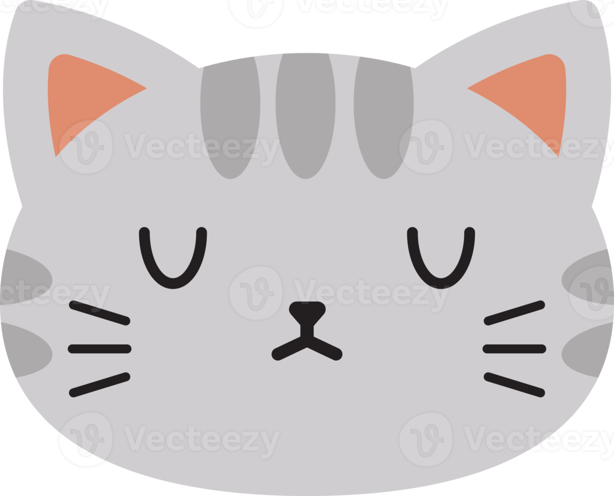 Simple Cat Expression png