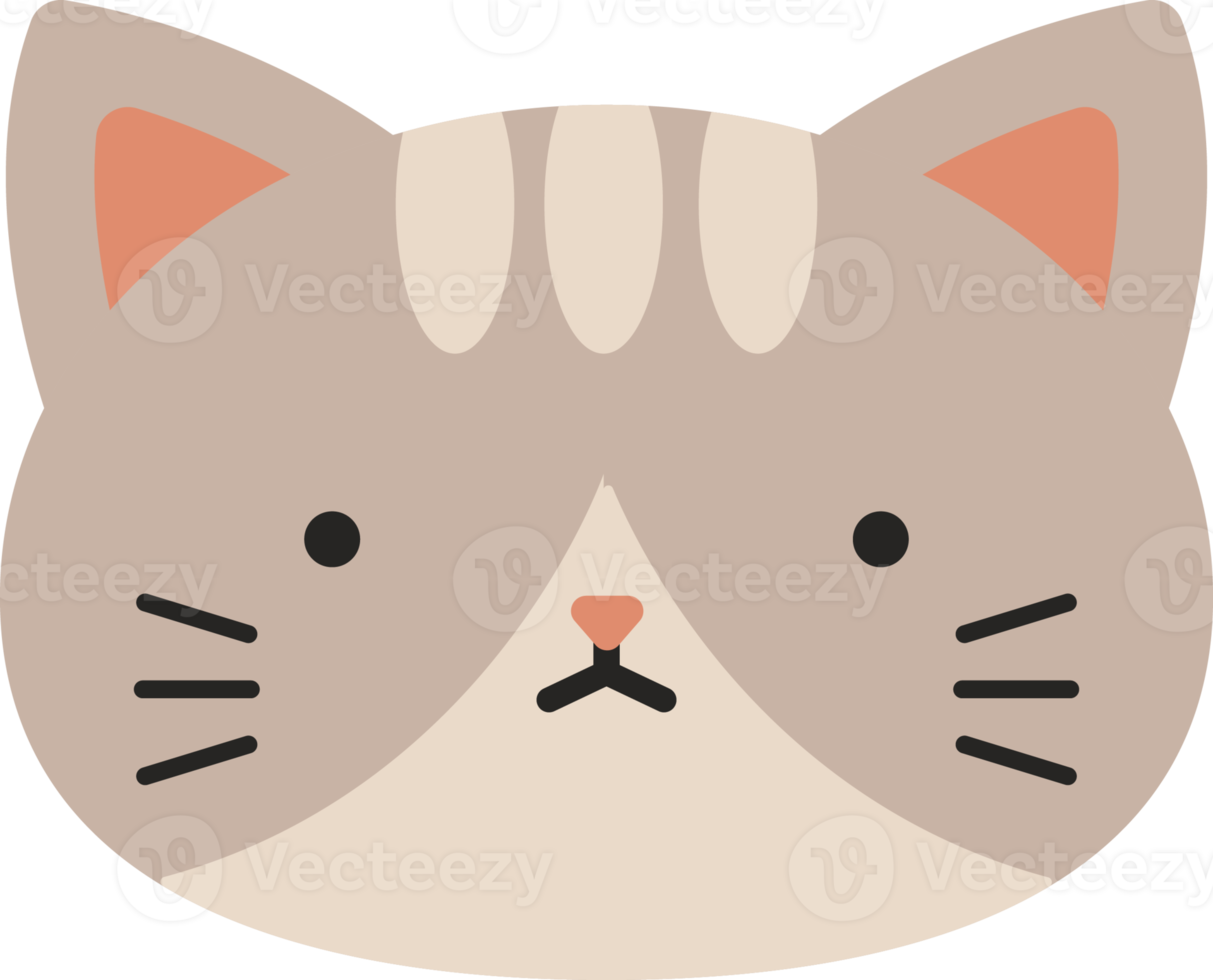 Simple Cat Expression png