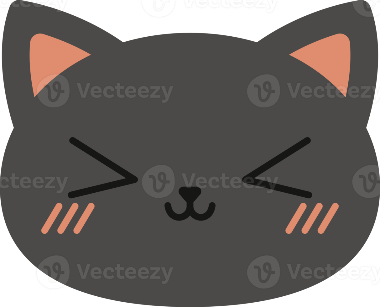 Simple Cat Expression png