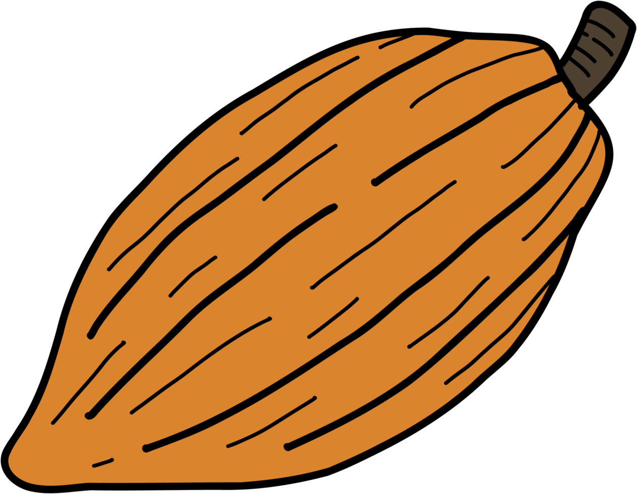 cacao frutta scarabocchio a mano libera disegno. png