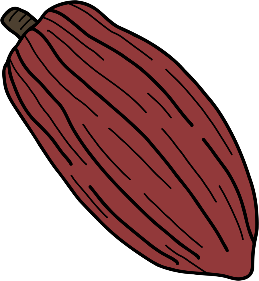 cacao frutta scarabocchio a mano libera disegno. png