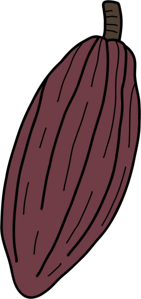 Dibujo a mano alzada de fideos de frutas de cacao. png