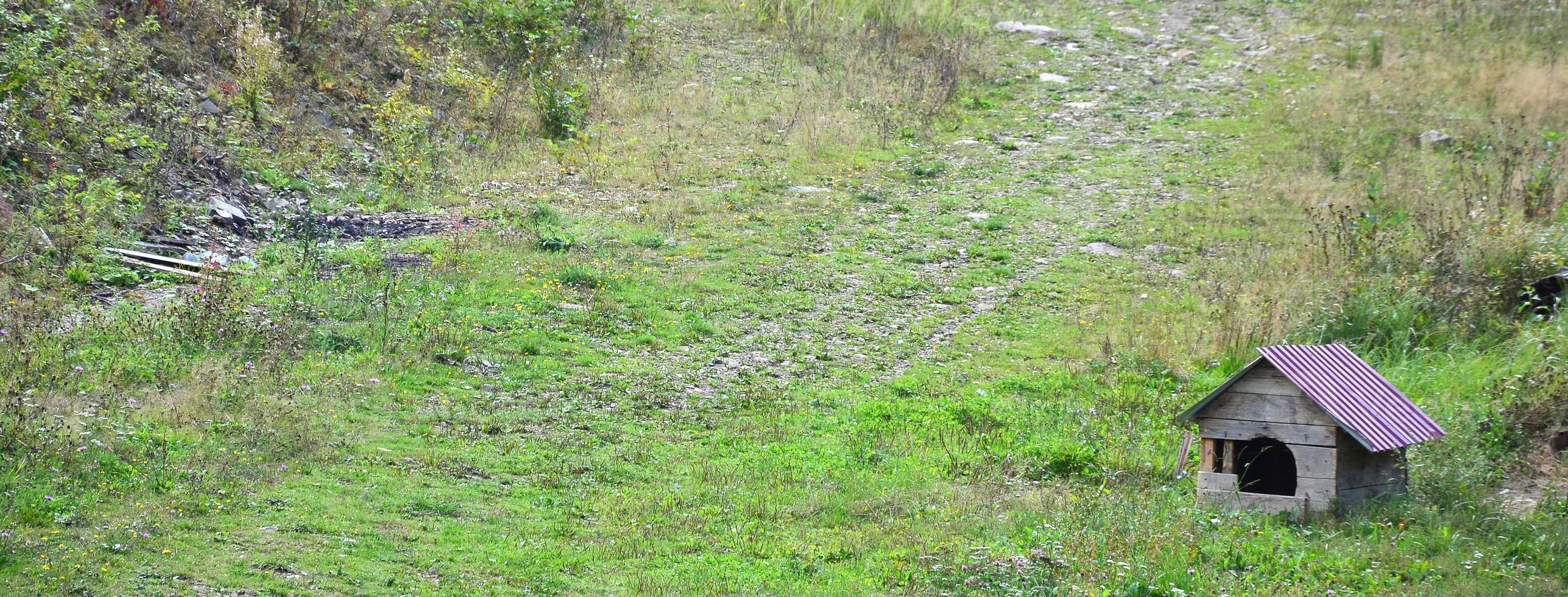 A small doghouse in the open air on a grass field photo