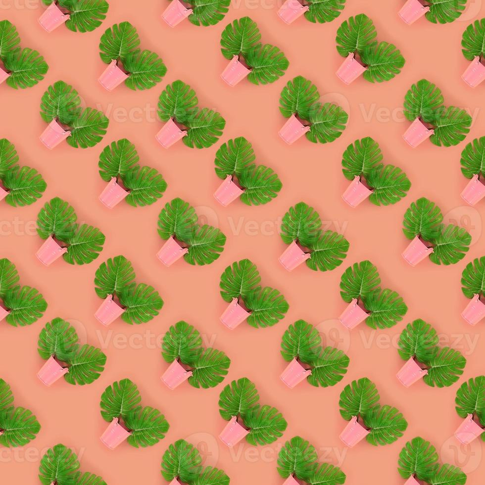 Tropical palm monstera leaves lies in a pastel pails on a colored background. Flat lay trendy minimal pattern. Top view photo