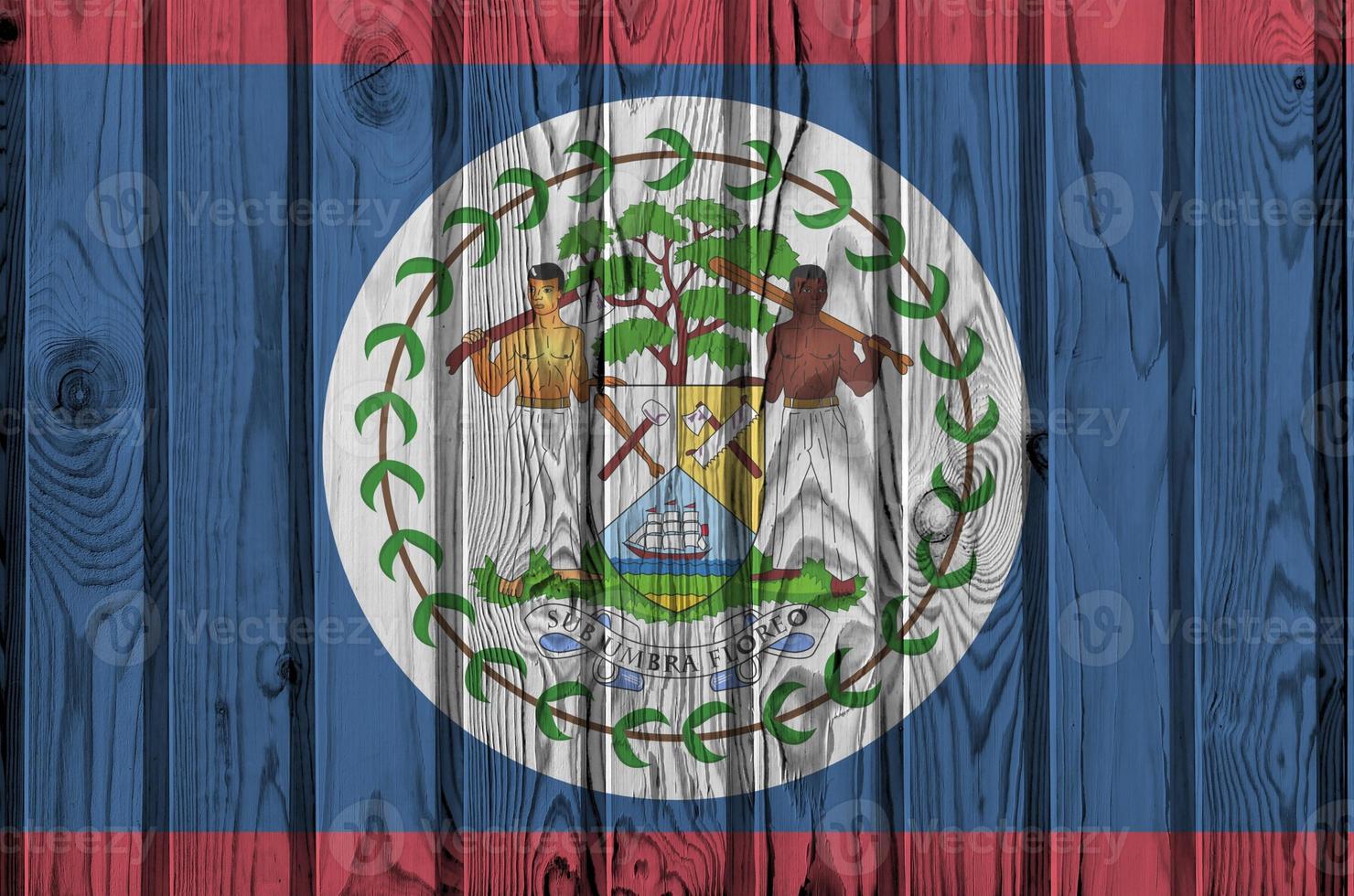 Belize flag depicted in bright paint colors on old wooden wall. Textured banner on rough background photo
