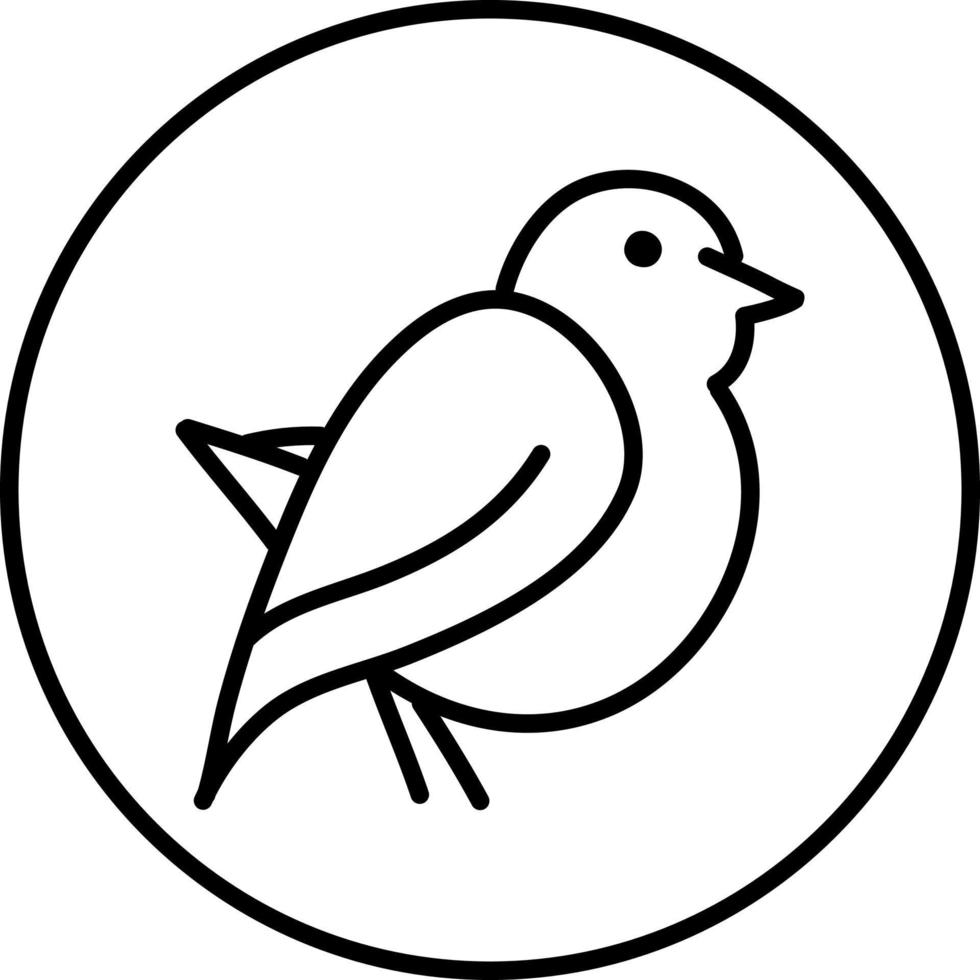 Sandpiper bird, illustration, on a white background. vector
