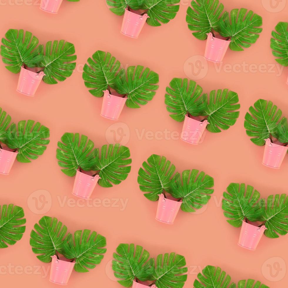 Tropical palm monstera leaves lies in a pastel pails on a colored background. Flat lay trendy minimal pattern. Top view photo