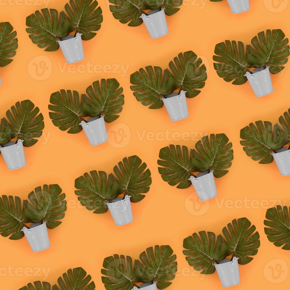 Tropical palm monstera leaves lies in a pastel pails on a colored background. Flat lay trendy minimal pattern. Top view photo