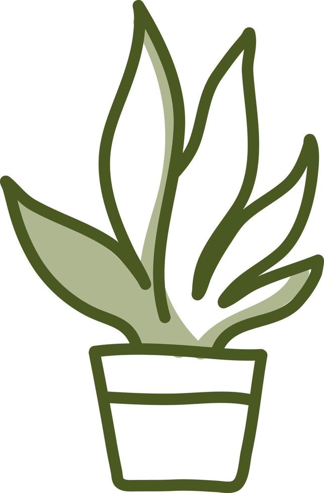 plant, on a white background. 13840301 Vector Art at