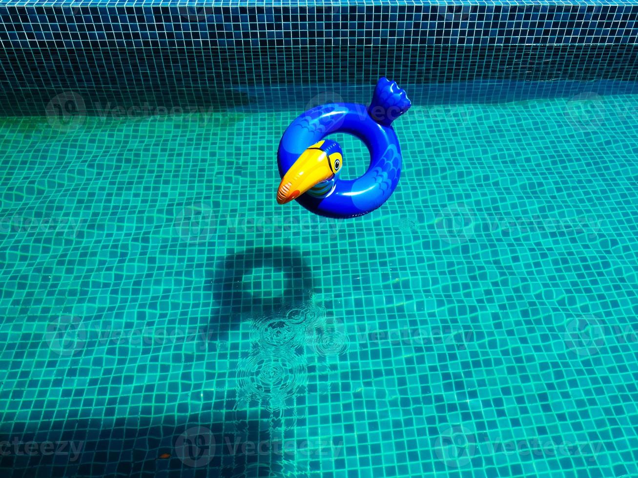 A bird floater thrown in to the pool photo