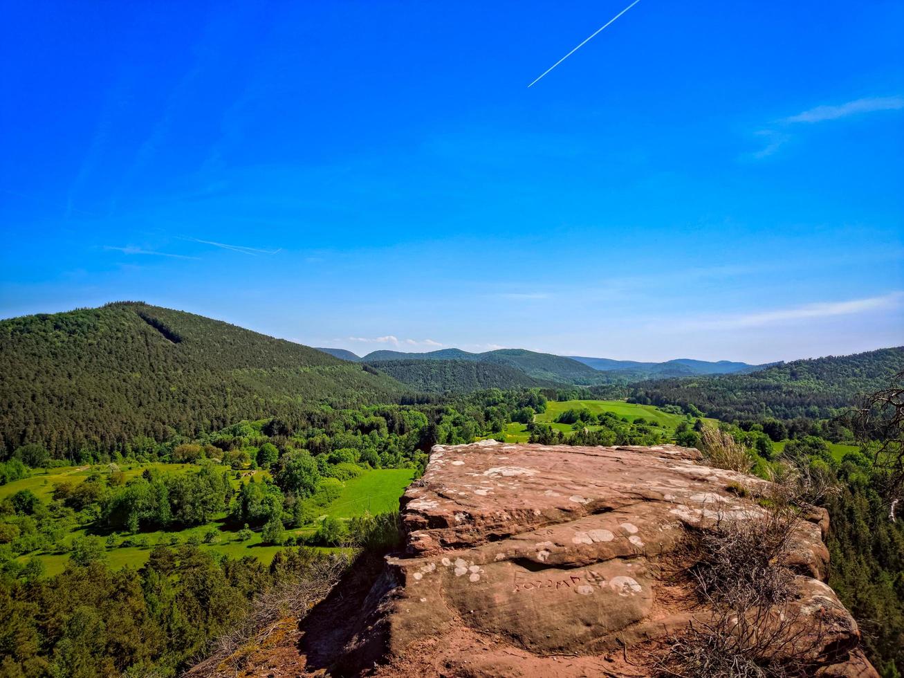 Viewpont in the forest photo