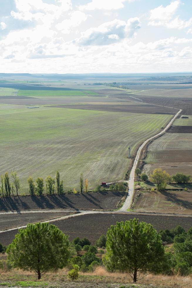 Green landscape with a road to the horizon photo