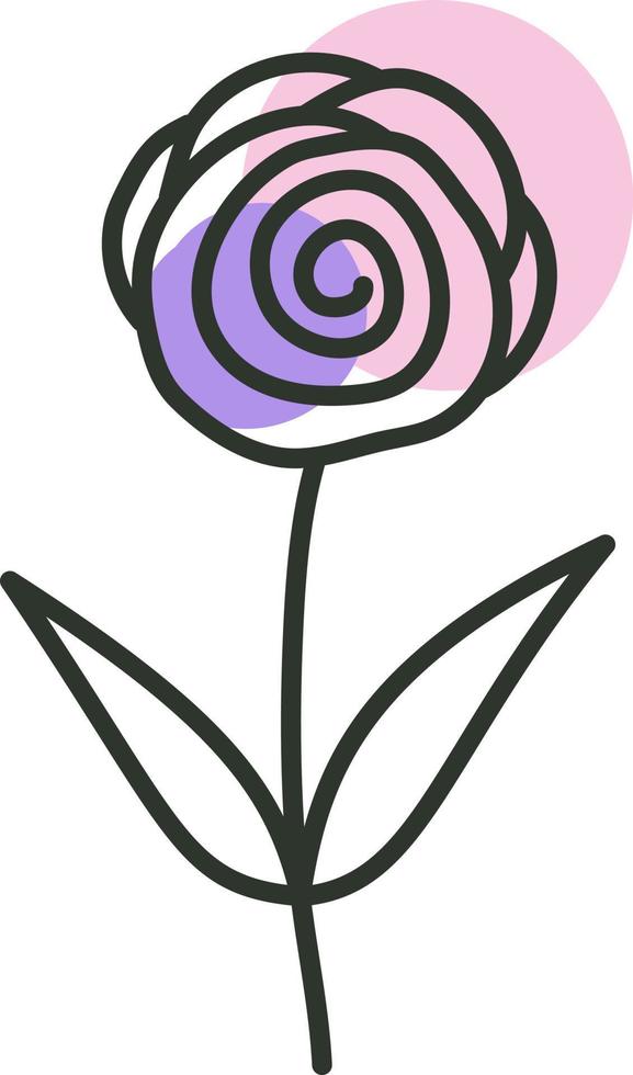 Rose flower, illustration, vector on a white background.