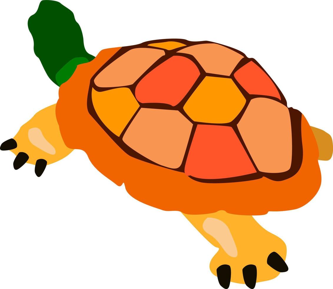 tortuga, ilustración, vector sobre fondo blanco.