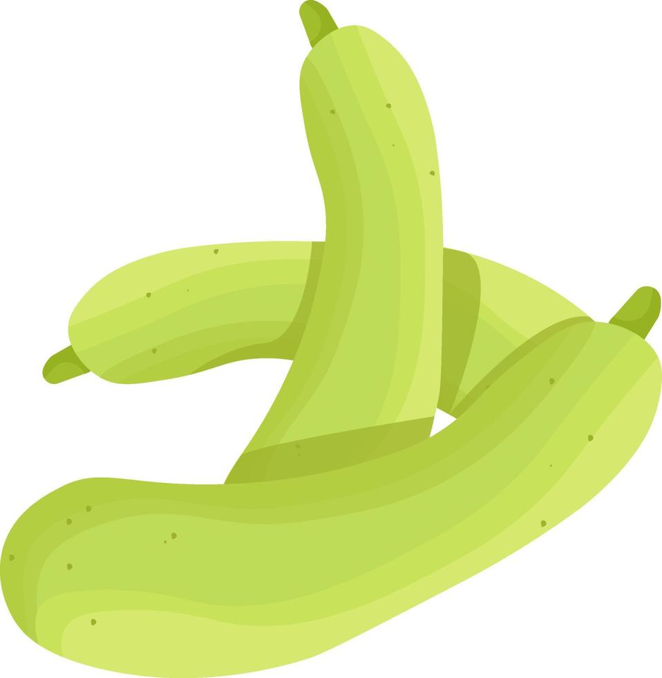 Green bottle gourd, illustration, vector on white background