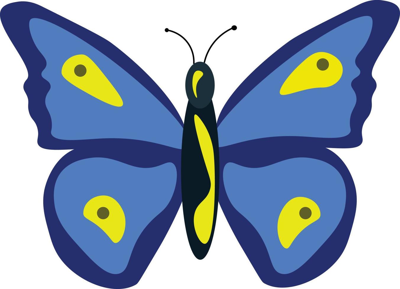 mariposa azul, ilustración, vector sobre fondo blanco.