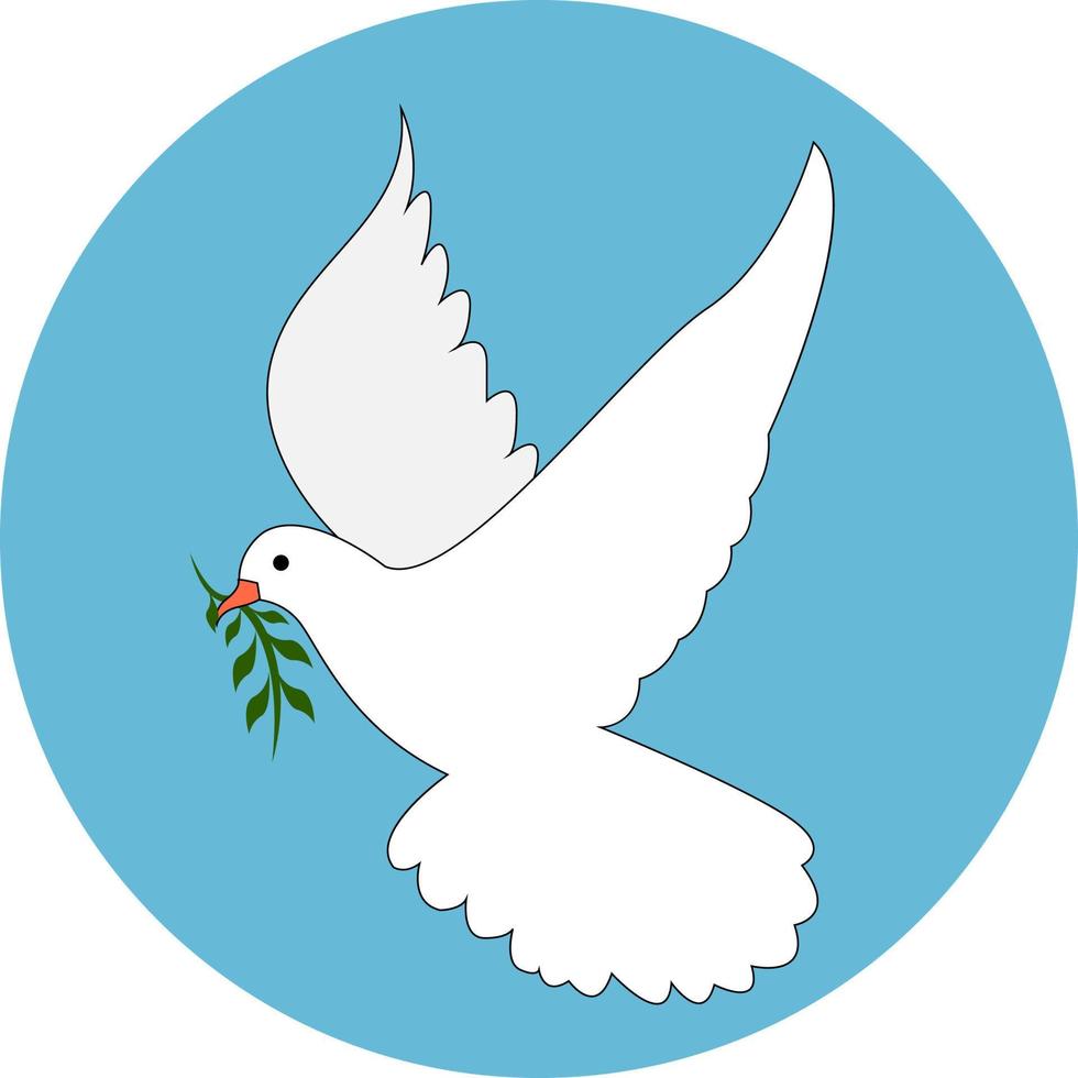 White dove, illustration, vector on white background.