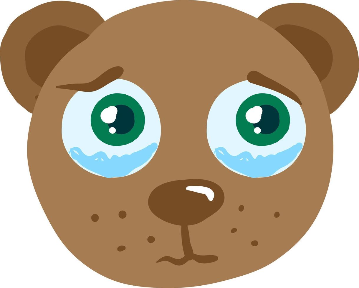 Crying bear, illustration, vector on white background.
