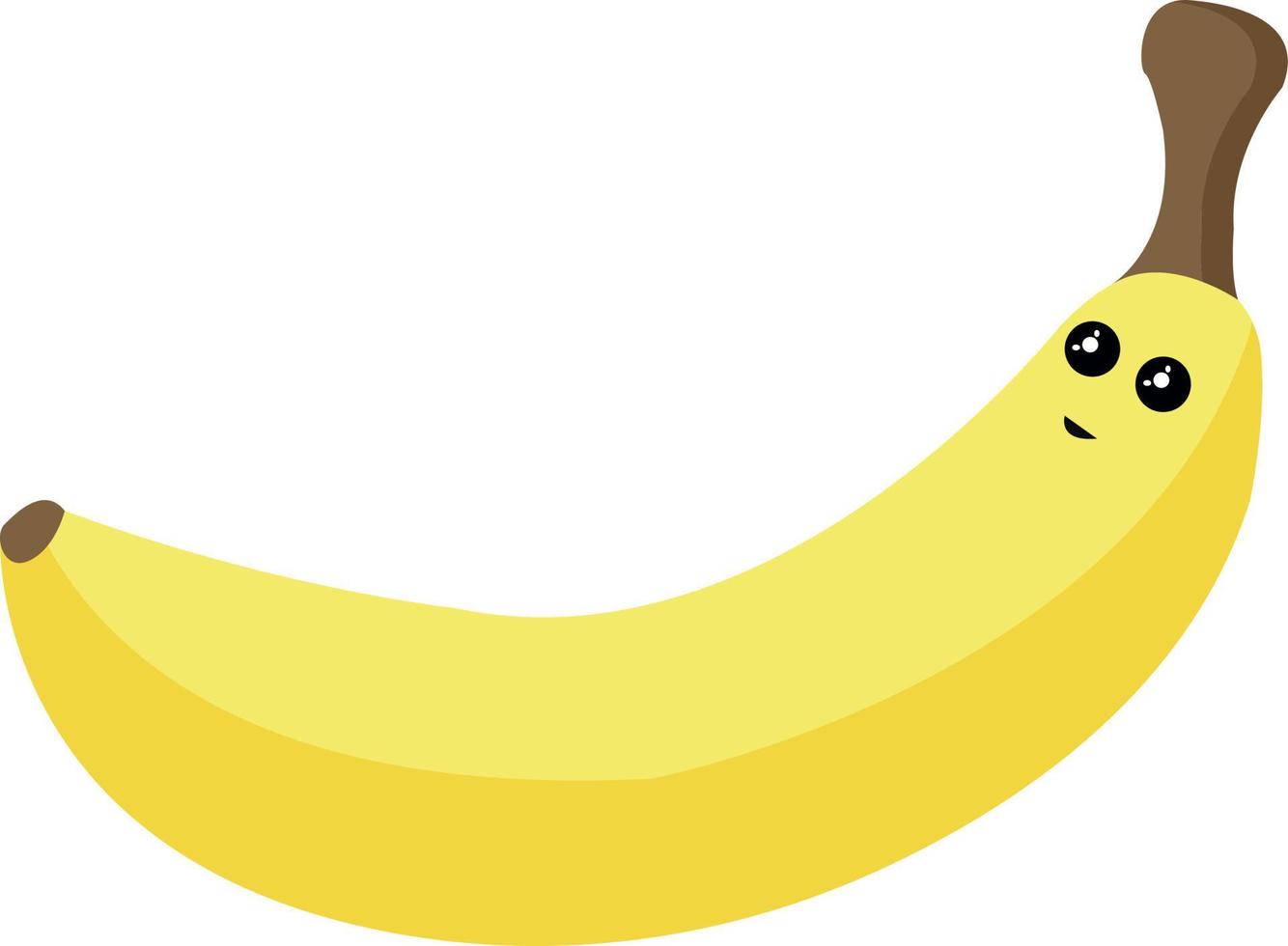 lindo plátano, ilustración, vector sobre fondo blanco.