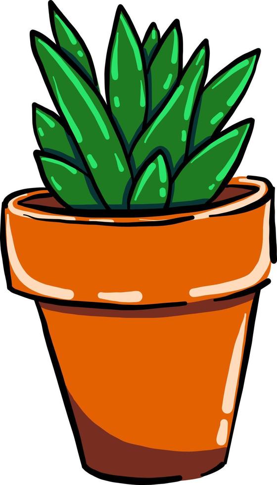 Home plant in pot, illustration, vector on white background