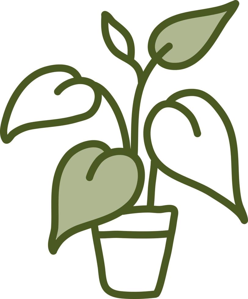 Dieffenbachia in pot, illustration, vector on a white background.