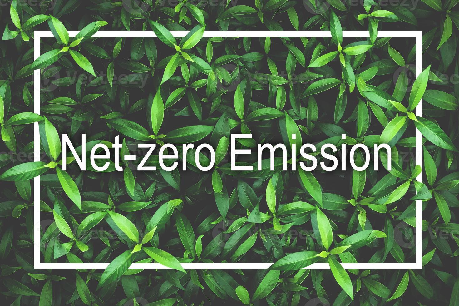 Net-zero Emission Concept. Love the Earth, Save the Environment photo