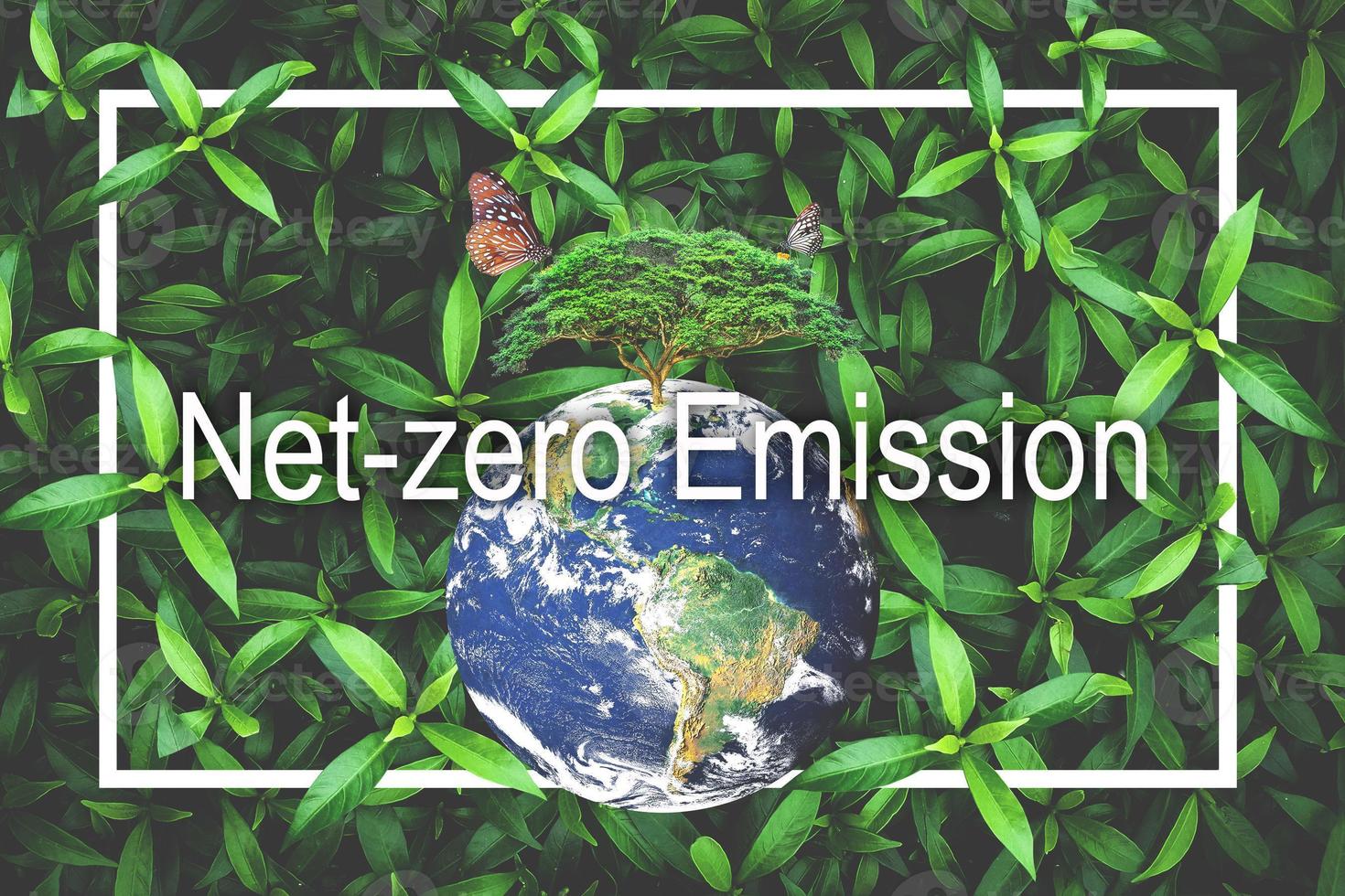 Net-zero Emission Concept. Love the Earth, Save the Environment photo